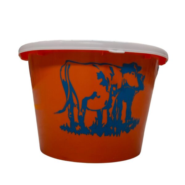 Impulsion Junior