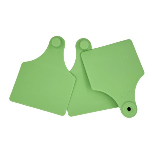 Maxi Fêmea – Verde