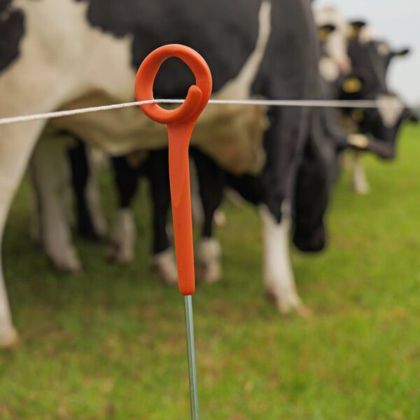 Poste RING TOP